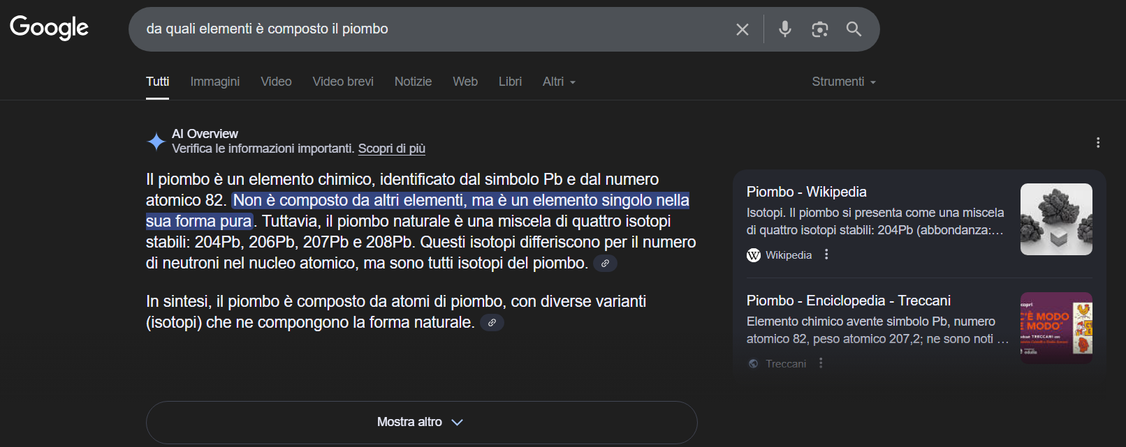 ai overview di google